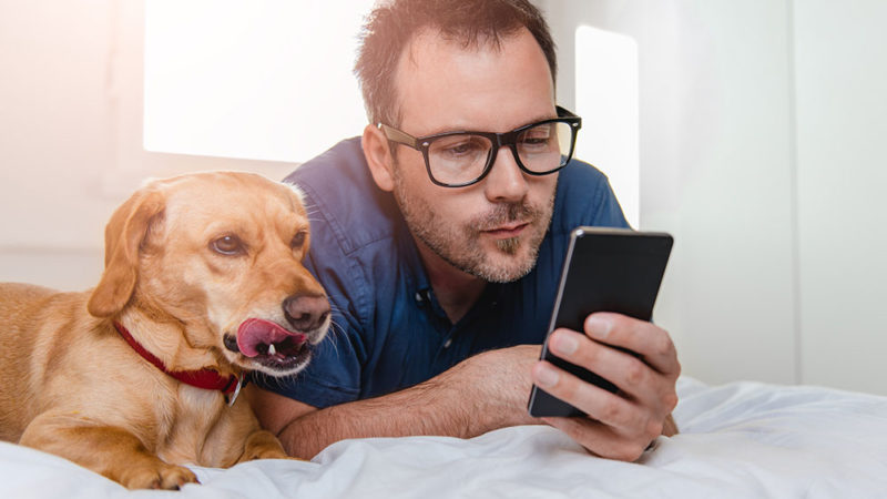 A Guide To Smart Home For Every Pet Owners