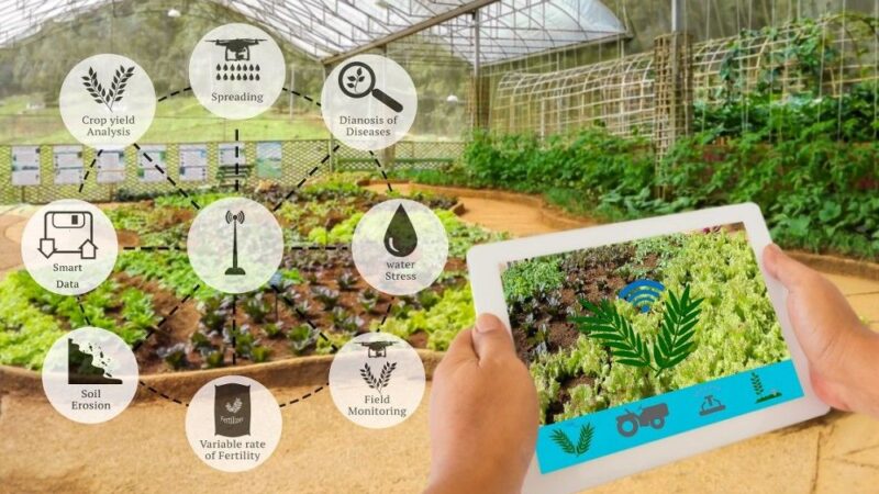 Smart farming: How to assist countries with food insecurity by integrating digital agriculture